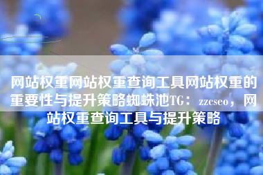 网站权重网站权重查询工具网站权重的重要性与提升策略蜘蛛池TG：zzcseo，网站权重查询工具与提升策略