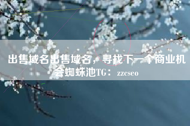 出售域名出售域名，寻找下一个商业机会蜘蛛池TG：zzcseo