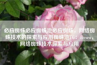 必应蜘蛛必应蜘蛛池必应蜘蛛，网络蜘蛛技术的探索与应用蜘蛛池TG：zzcseo，网络蜘蛛技术探索与应用