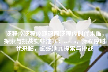 泛程序泛程序源码网泛程序时代来临，探索与挑战蜘蛛池TG：zzcseo，泛程序时代来临，蜘蛛池TG探索与挑战