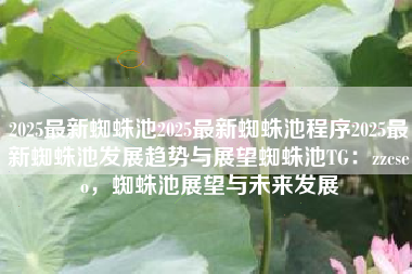 2025最新蜘蛛池2025最新蜘蛛池程序2025最新蜘蛛池发展趋势与展望蜘蛛池TG：zzcseo，蜘蛛池展望与未来发展