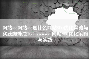 网站seo网站seo是什么网站SEO优化策略与实践蜘蛛池TG：zzcseo，网站SEO优化策略与实践