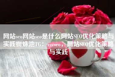 网站seo网站seo是什么网站SEO优化策略与实践蜘蛛池TG：zzcseo，网站SEO优化策略与实践