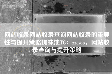 网站收录网站收录查询网站收录的重要性与提升策略蜘蛛池TG：zzcseo，网站收录查询与提升策略