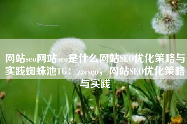 网站seo网站seo是什么网站SEO优化策略与实践蜘蛛池TG：zzcseo，网站SEO优化策略与实践