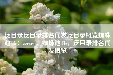 泛目录泛目录排名代发泛目录概览蜘蛛池TG：zzcseo，蜘蛛池TG，泛目录排名代发概览