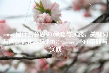 seoseo是什么意思SEO策略与实践，关键词与网站优化蜘蛛池TG：zzcseo，SEO策略与实践
