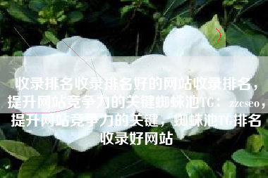收录排名收录排名好的网站收录排名，提升网站竞争力的关键蜘蛛池TG：zzcseo，提升网站竞争力的关键，蜘蛛池TG排名收录好网站