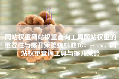 网站权重网站权重查询工具网站权重的重要性与提升策略蜘蛛池TG：zzcseo，网站权重查询工具与提升策略