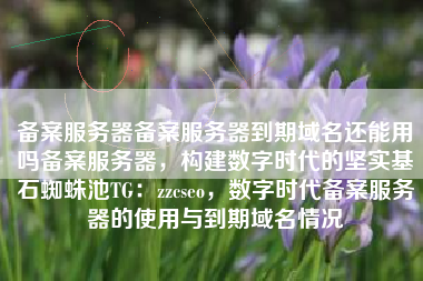 备案服务器备案服务器到期域名还能用吗备案服务器，构建数字时代的坚实基石蜘蛛池TG：zzcseo，数字时代备案服务器的使用与到期域名情况