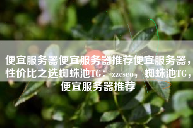 便宜服务器便宜服务器推荐便宜服务器，性价比之选蜘蛛池TG：zzcseo，蜘蛛池TG，便宜服务器推荐