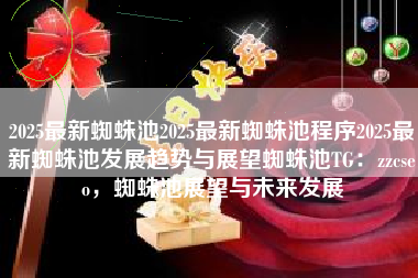 2025最新蜘蛛池2025最新蜘蛛池程序2025最新蜘蛛池发展趋势与展望蜘蛛池TG：zzcseo，蜘蛛池展望与未来发展