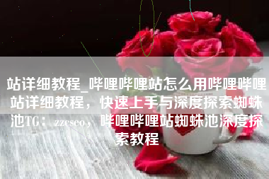 站详细教程_哔哩哔哩站怎么用哔哩哔哩站详细教程，快速上手与深度探索蜘蛛池TG：zzcseo，哔哩哔哩站蜘蛛池深度探索教程