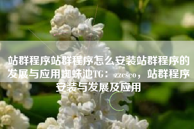 站群程序站群程序怎么安装站群程序的发展与应用蜘蛛池TG：zzcseo，站群程序安装与发展及应用
