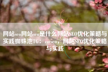 网站seo网站seo是什么网站SEO优化策略与实践蜘蛛池TG：zzcseo，网站SEO优化策略与实践