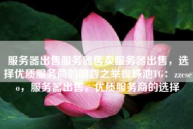 服务器出售服务器售卖服务器出售，选择优质服务商的明智之举蜘蛛池TG：zzcseo，服务器出售，优质服务商的选择