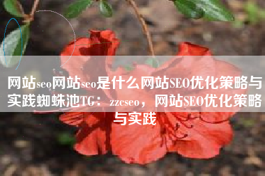 网站seo网站seo是什么网站SEO优化策略与实践蜘蛛池TG：zzcseo，网站SEO优化策略与实践