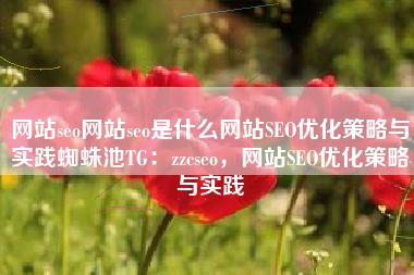 网站seo网站seo是什么网站SEO优化策略与实践蜘蛛池TG：zzcseo，网站SEO优化策略与实践