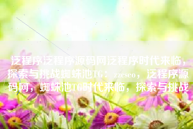 泛程序泛程序源码网泛程序时代来临，探索与挑战蜘蛛池TG：zzcseo，泛程序源码网，蜘蛛池TG时代来临，探索与挑战