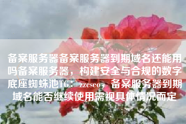 备案服务器备案服务器到期域名还能用吗备案服务器，构建安全与合规的数字底座蜘蛛池TG：zzcseo，备案服务器到期域名能否继续使用需视具体情况而定