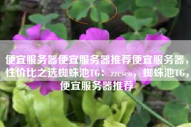 便宜服务器便宜服务器推荐便宜服务器，性价比之选蜘蛛池TG：zzcseo，蜘蛛池TG，便宜服务器推荐