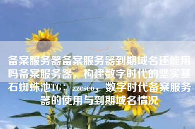 备案服务器备案服务器到期域名还能用吗备案服务器，构建数字时代的坚实基石蜘蛛池TG：zzcseo，数字时代备案服务器的使用与到期域名情况