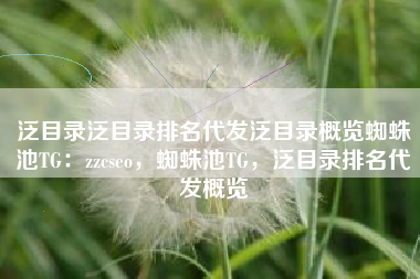 泛目录泛目录排名代发泛目录概览蜘蛛池TG：zzcseo，蜘蛛池TG，泛目录排名代发概览
