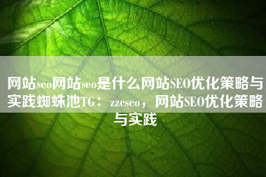 网站seo网站seo是什么网站SEO优化策略与实践蜘蛛池TG：zzcseo，网站SEO优化策略与实践