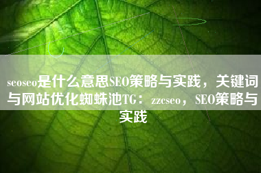 seoseo是什么意思SEO策略与实践，关键词与网站优化蜘蛛池TG：zzcseo，SEO策略与实践