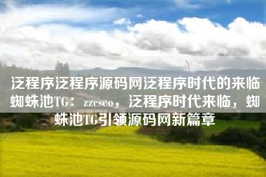 泛程序泛程序源码网泛程序时代的来临蜘蛛池TG：zzcseo，泛程序时代来临，蜘蛛池TG引领源码网新篇章