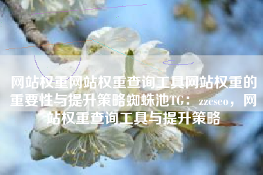 网站权重网站权重查询工具网站权重的重要性与提升策略蜘蛛池TG：zzcseo，网站权重查询工具与提升策略