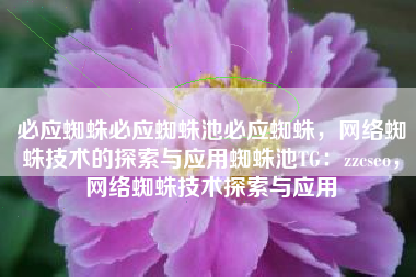 必应蜘蛛必应蜘蛛池必应蜘蛛，网络蜘蛛技术的探索与应用蜘蛛池TG：zzcseo，网络蜘蛛技术探索与应用