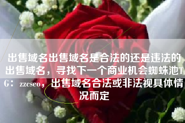 出售域名出售域名是合法的还是违法的出售域名，寻找下一个商业机会蜘蛛池TG：zzcseo，出售域名合法或非法视具体情况而定