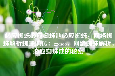必应蜘蛛必应蜘蛛池必应蜘蛛，网络蜘蛛解析蜘蛛池TG：zzcseo，网络蜘蛛解析，必应蜘蛛池的秘密