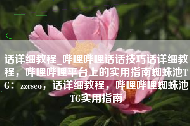 话详细教程_哔哩哔哩话话技巧话详细教程，哔哩哔哩平台上的实用指南蜘蛛池TG：zzcseo，话详细教程，哔哩哔哩蜘蛛池TG实用指南