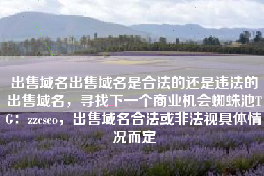 出售域名出售域名是合法的还是违法的出售域名，寻找下一个商业机会蜘蛛池TG：zzcseo，出售域名合法或非法视具体情况而定