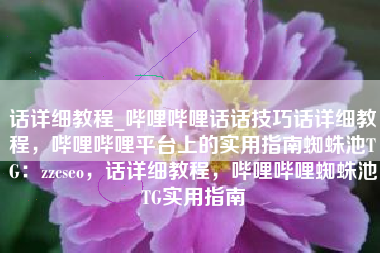 话详细教程_哔哩哔哩话话技巧话详细教程，哔哩哔哩平台上的实用指南蜘蛛池TG：zzcseo，话详细教程，哔哩哔哩蜘蛛池TG实用指南