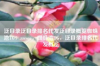 泛目录泛目录排名代发泛目录概览蜘蛛池TG：zzcseo，蜘蛛池TG，泛目录排名代发概览