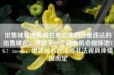 出售域名出售域名是合法的还是违法的出售域名，寻找下一个商业机会蜘蛛池TG：zzcseo，出售域名合法或非法视具体情况而定