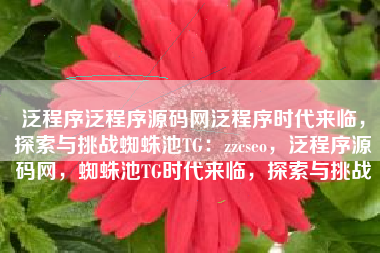 泛程序泛程序源码网泛程序时代来临，探索与挑战蜘蛛池TG：zzcseo，泛程序源码网，蜘蛛池TG时代来临，探索与挑战
