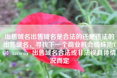 出售域名出售域名是合法的还是违法的出售域名，寻找下一个商业机会蜘蛛池TG：zzcseo，出售域名合法或非法视具体情况而定