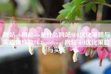 网站seo网站seo是什么网站SEO优化策略与实践蜘蛛池TG：zzcseo，网站SEO优化策略与实践