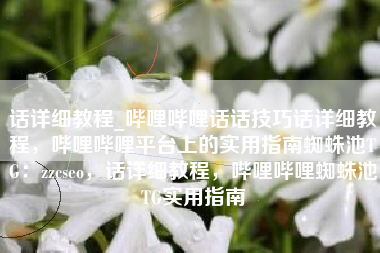 话详细教程_哔哩哔哩话话技巧话详细教程，哔哩哔哩平台上的实用指南蜘蛛池TG：zzcseo，话详细教程，哔哩哔哩蜘蛛池TG实用指南