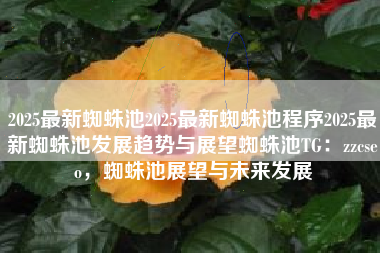 2025最新蜘蛛池2025最新蜘蛛池程序2025最新蜘蛛池发展趋势与展望蜘蛛池TG：zzcseo，蜘蛛池展望与未来发展