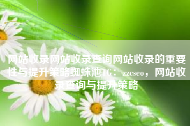 网站收录网站收录查询网站收录的重要性与提升策略蜘蛛池TG：zzcseo，网站收录查询与提升策略