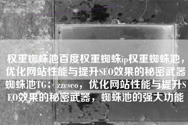 权重蜘蛛池百度权重蜘蛛ip权重蜘蛛池，优化网站性能与提升SEO效果的秘密武器蜘蛛池TG：zzcseo，优化网站性能与提升SEO效果的秘密武器，蜘蛛池的强大功能