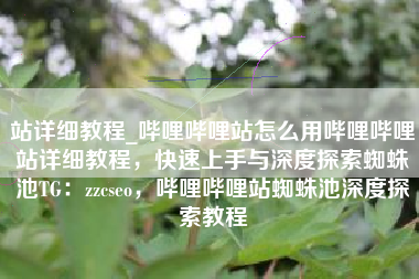 站详细教程_哔哩哔哩站怎么用哔哩哔哩站详细教程，快速上手与深度探索蜘蛛池TG：zzcseo，哔哩哔哩站蜘蛛池深度探索教程