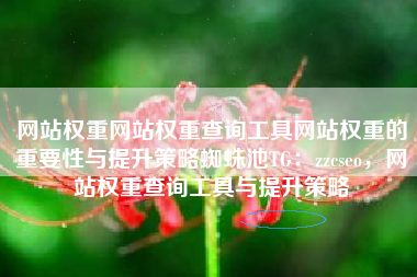 网站权重网站权重查询工具网站权重的重要性与提升策略蜘蛛池TG：zzcseo，网站权重查询工具与提升策略