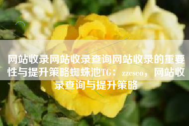 网站收录网站收录查询网站收录的重要性与提升策略蜘蛛池TG：zzcseo，网站收录查询与提升策略