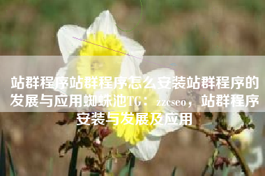 站群程序站群程序怎么安装站群程序的发展与应用蜘蛛池TG：zzcseo，站群程序安装与发展及应用